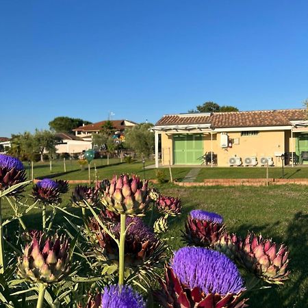Il Giardino Di Nunzia Villa Principina Terra Exterior photo