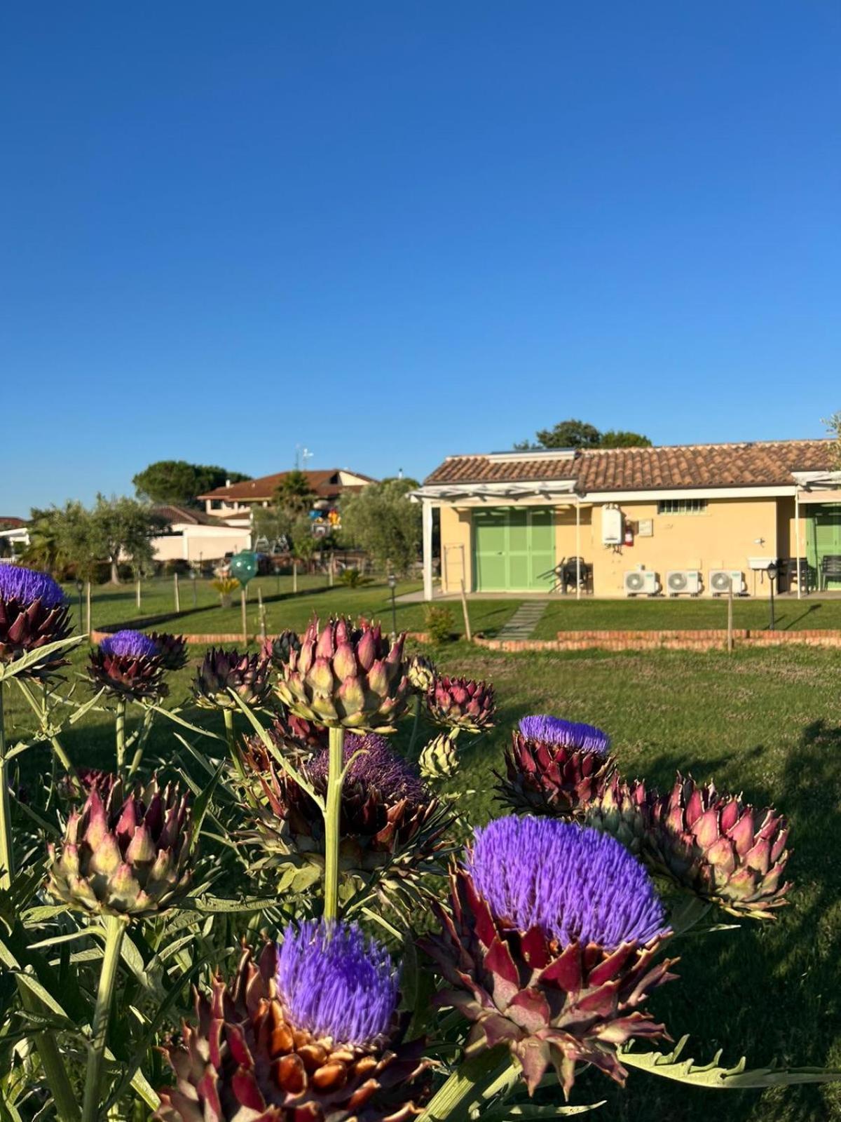 Il Giardino Di Nunzia Villa Principina Terra Exterior photo